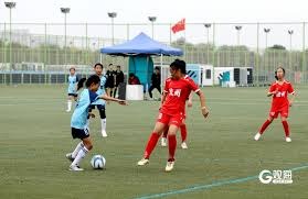 世界杯2026伊朗球迷的政治与足球交织